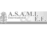 Association for the Study and Application of the Methods of Ilizarov